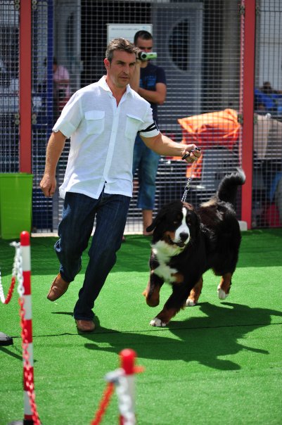 gibralter bernese